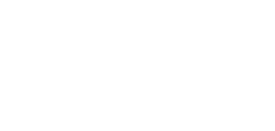light logo
